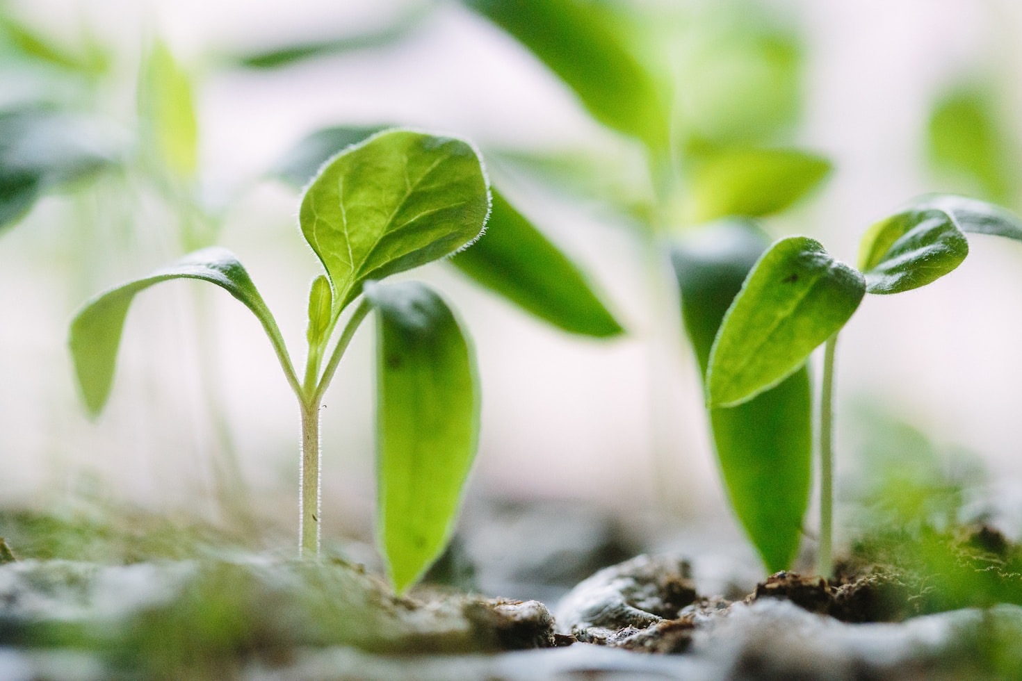 Budgeting for Beginners: Build Financial Resilience